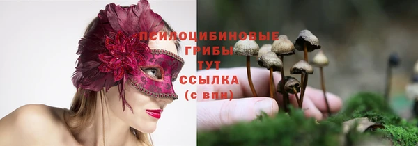 экстази Касимов