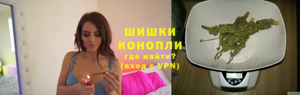 Альфа ПВП Карпинск
