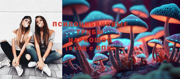 Альфа ПВП Карпинск