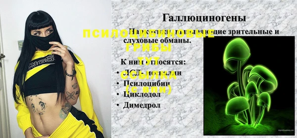 Альфа ПВП Карпинск