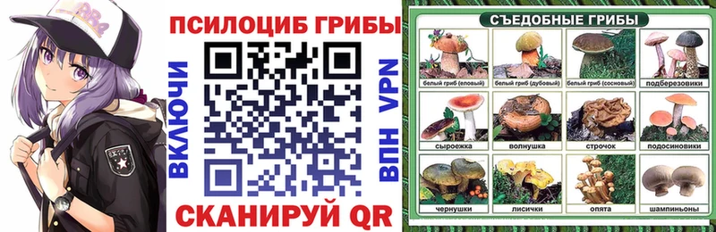 Купить  Саянск  Псилоцибиновые грибы Psilocybine cubensis 