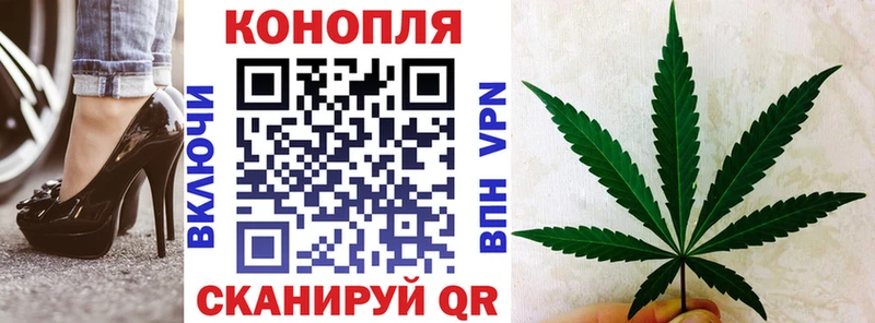 Конопля план  Купить где  Саянск 